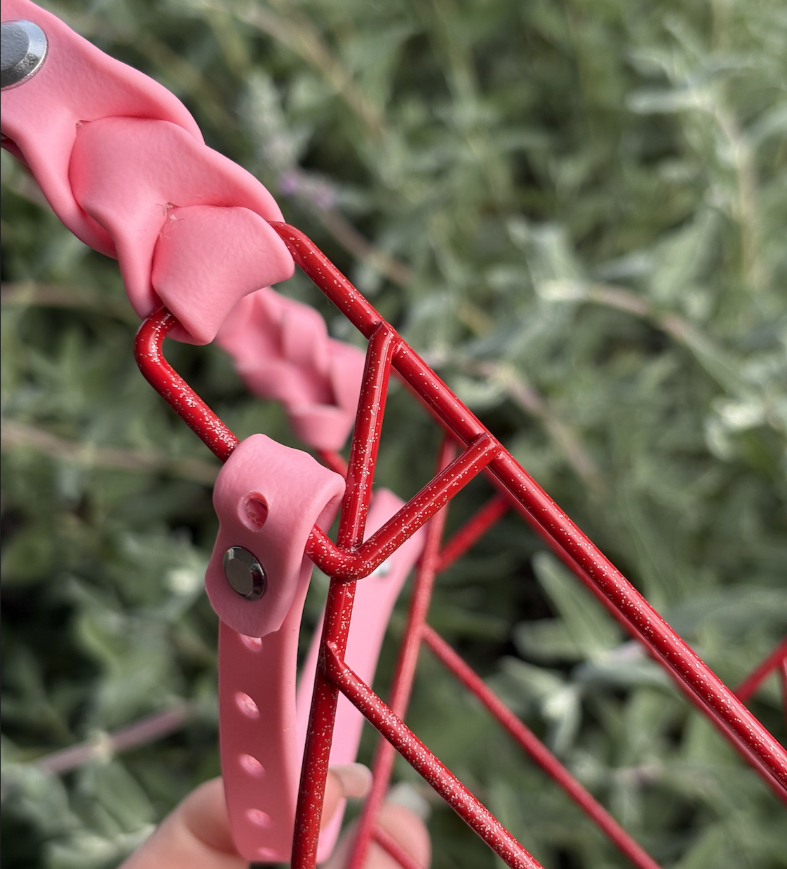 Screenshot 2026-02-09 at 10.04.33 AM.png