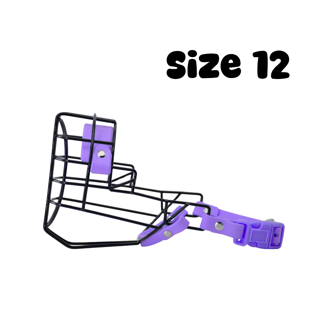 47.png
