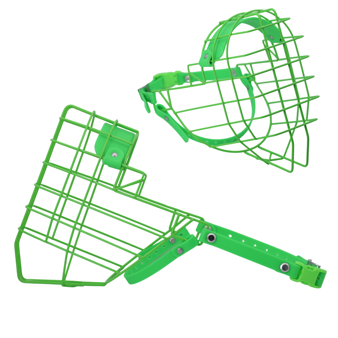Size 65 Neon Green Full Color Premade Standard Muzzle