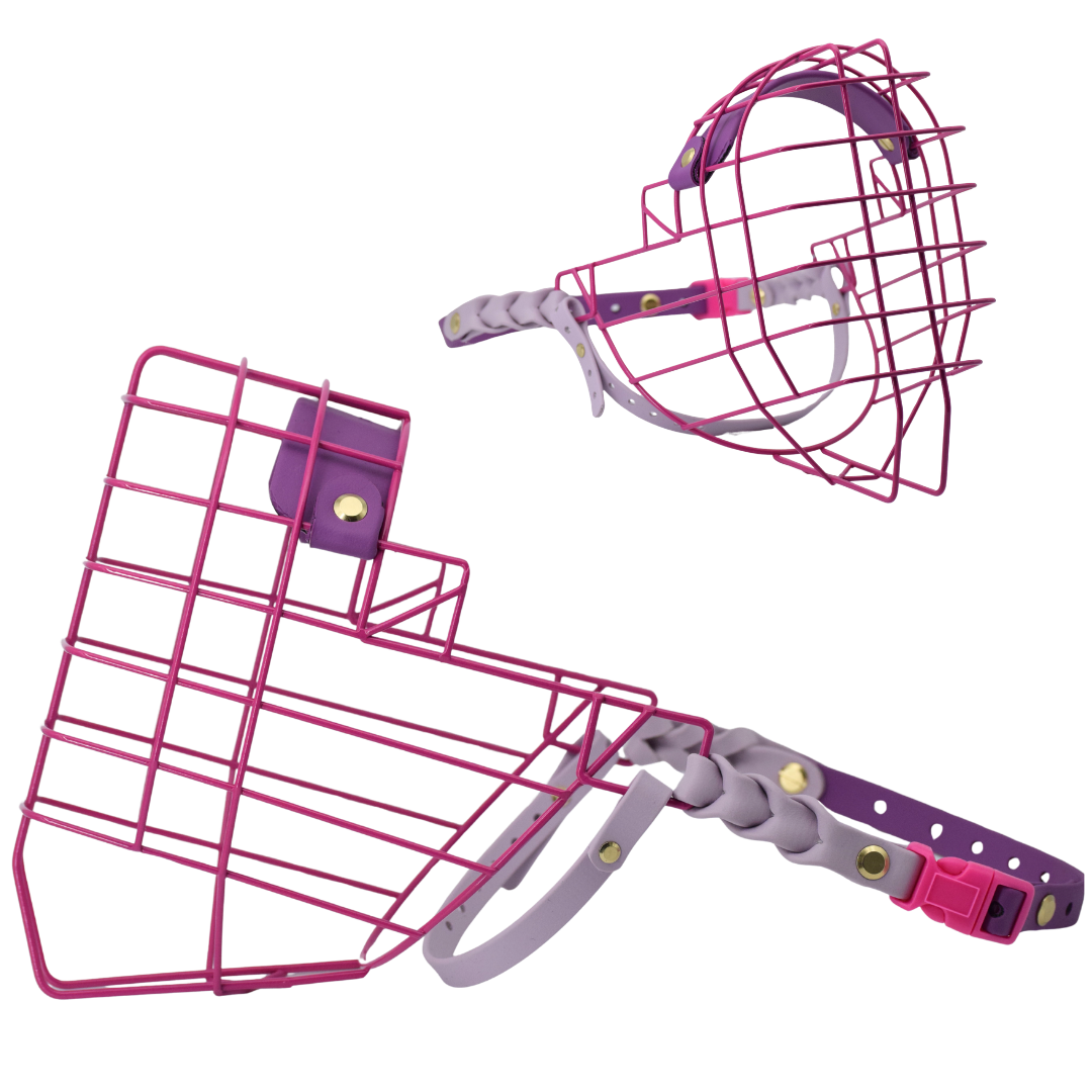 6.png