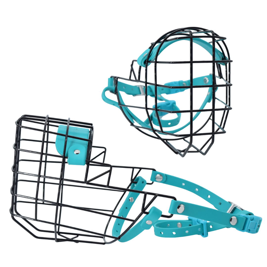 Size 20 Teal Premade Standard Muzzle