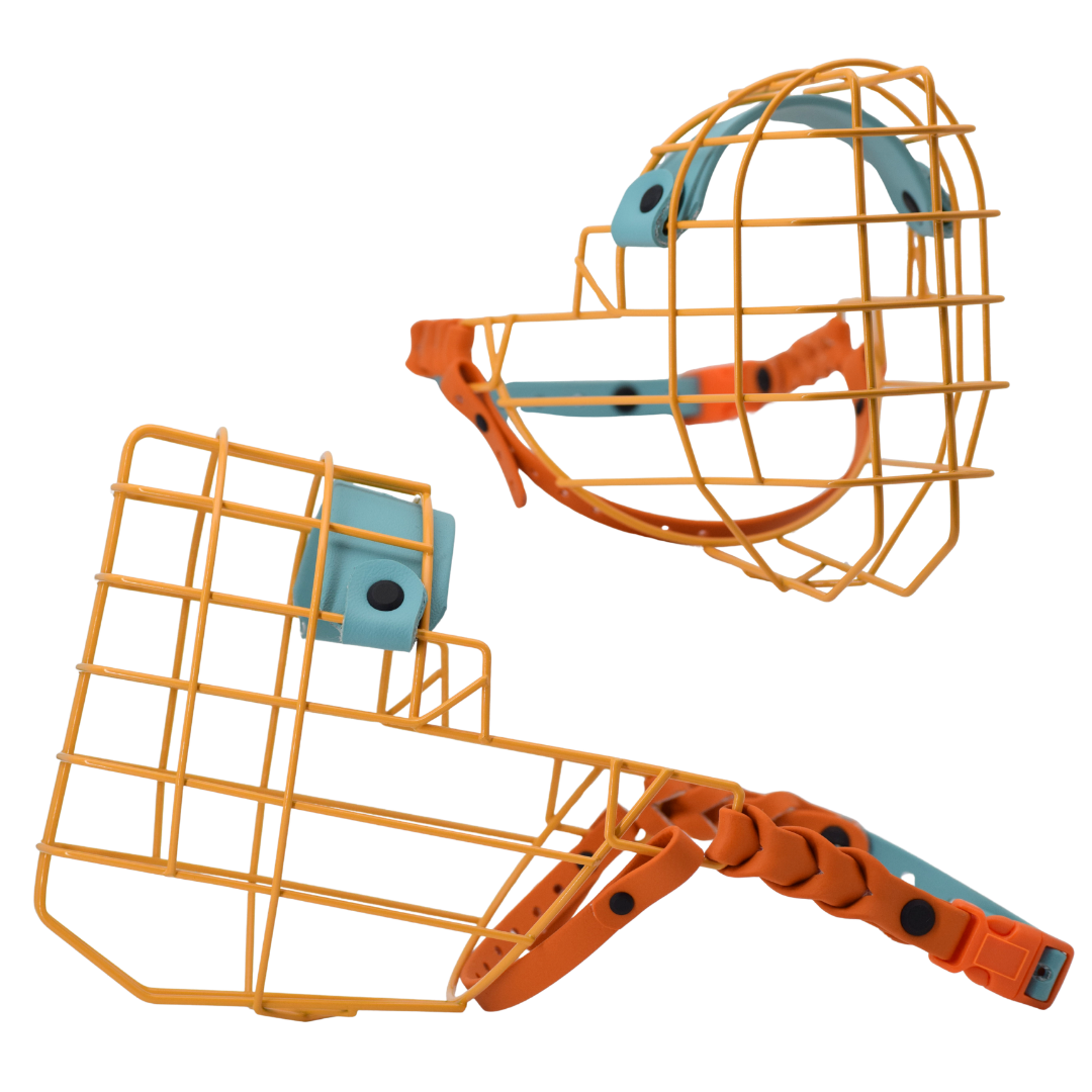 5.png