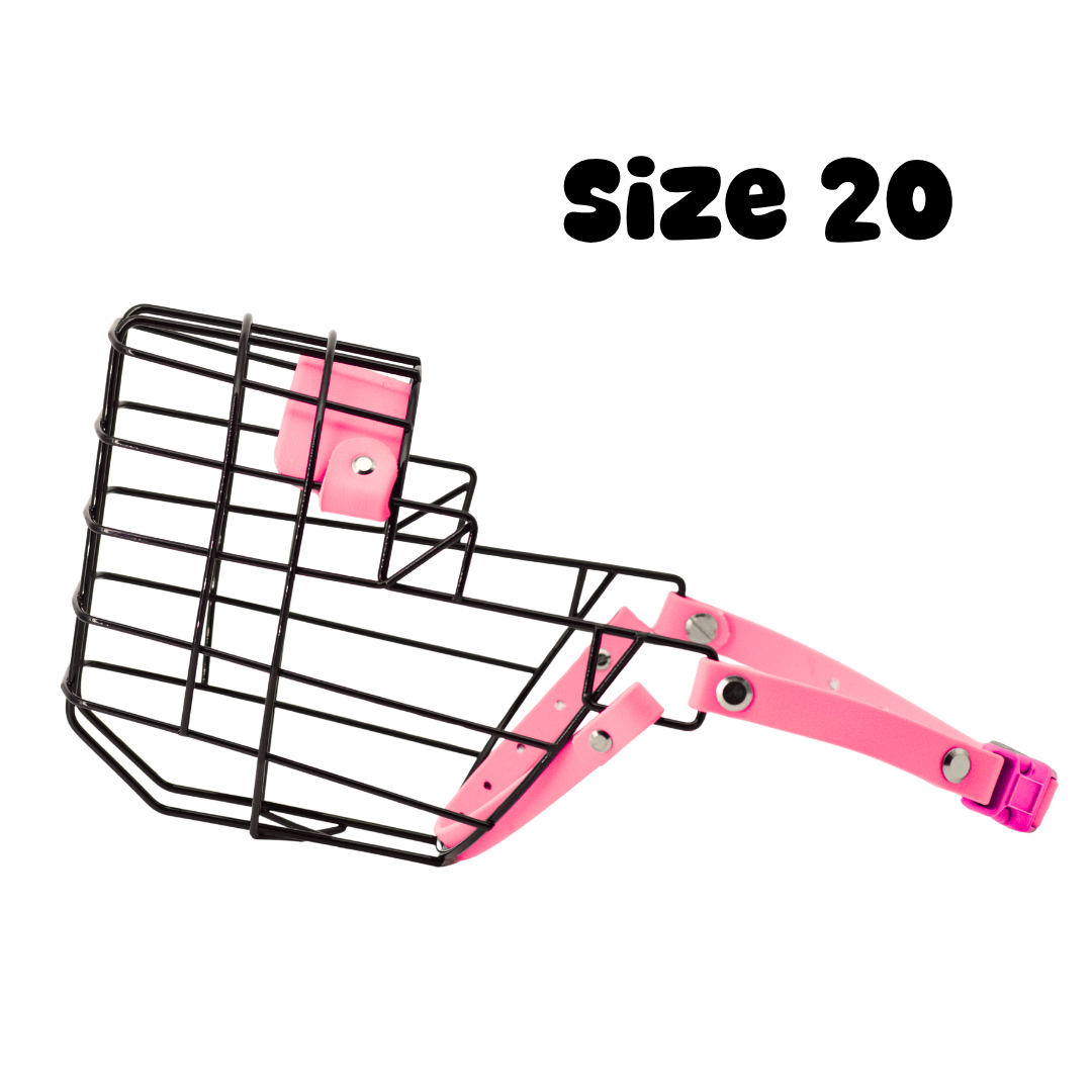 116.png