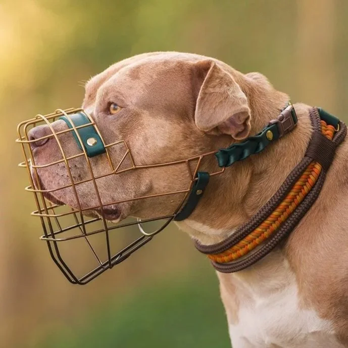Multicolor Custom Wire Muzzles