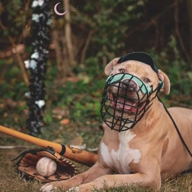 Rubber Muzzle For Dogs Beak Cute Duck Dog Muzzle Soft Silicone