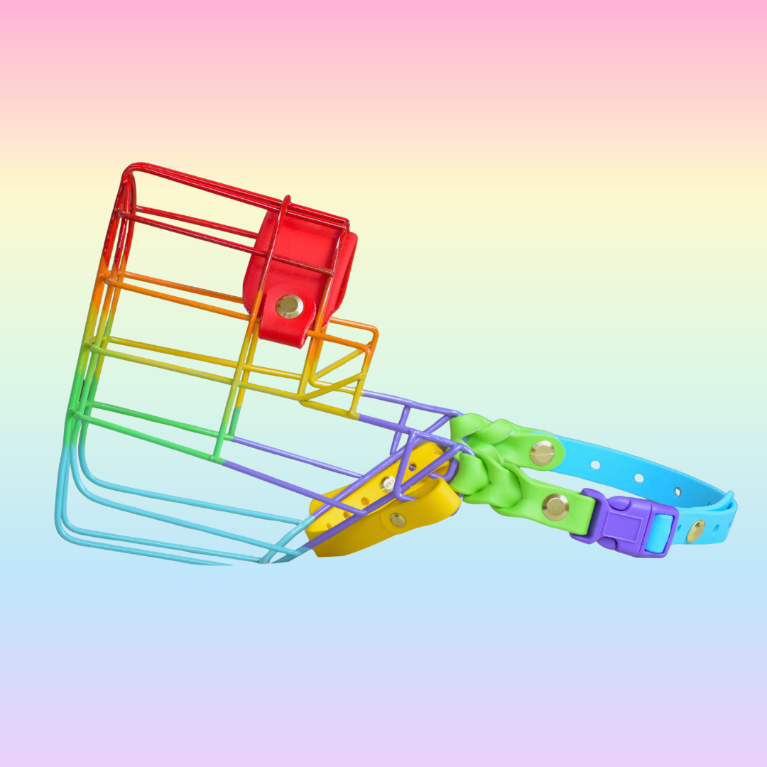 Rainbow Pride Custom Muzzles