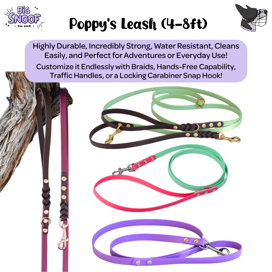 Poppy's Leash 4-8ft