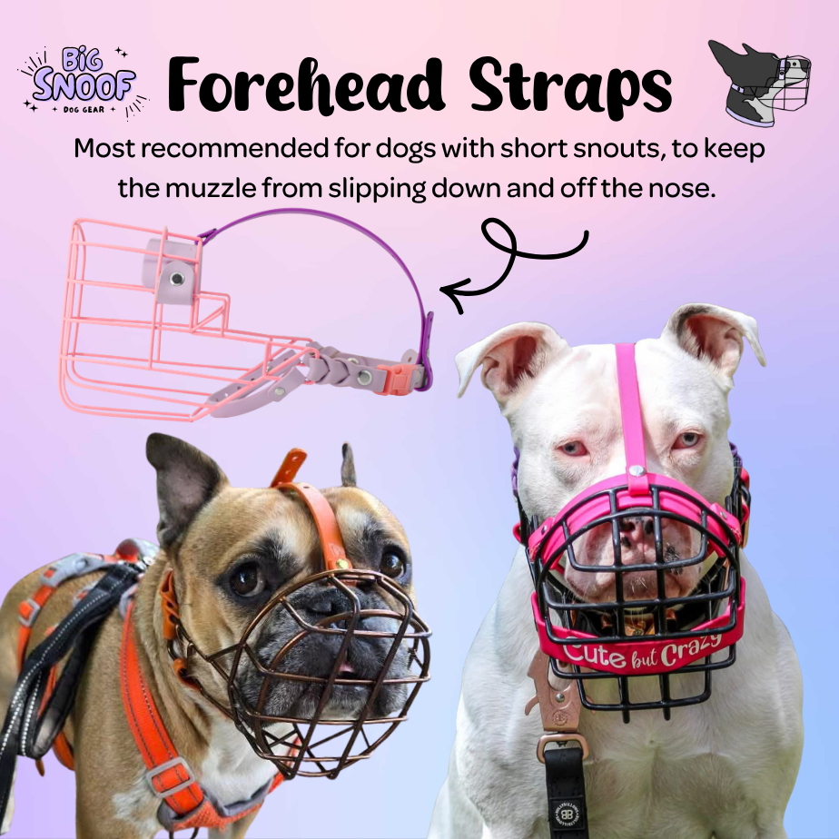 Forehead Strap A-La-Carte