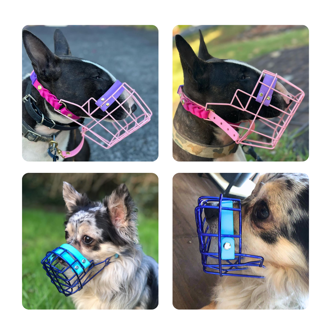 Muzzled Muzzle Fitting Info — Big Snoof Dog Gear