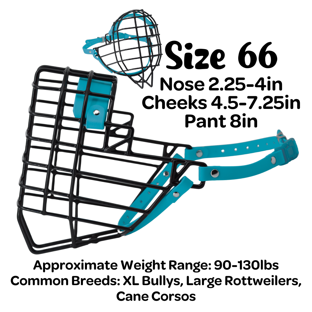 Size 66 Standard Muzzle