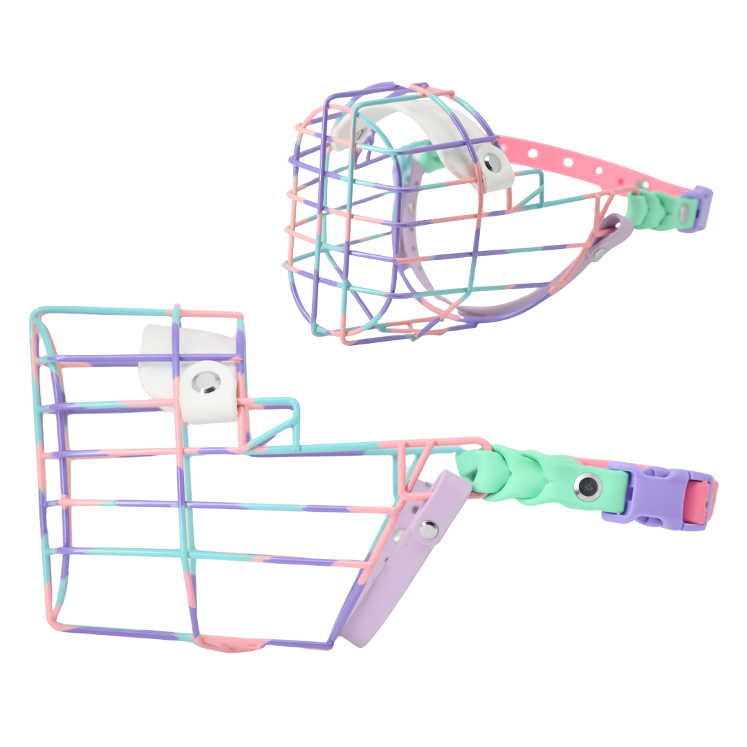 37.png