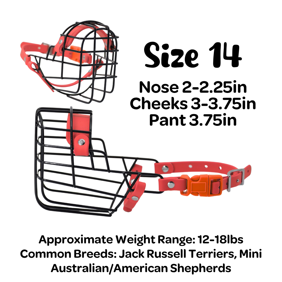 New! Size 14 Standard Muzzle *PREORDER*