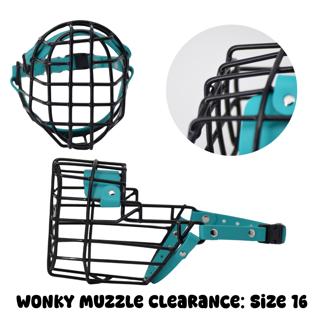 Size 16 Teal Standard Premade Muzzle