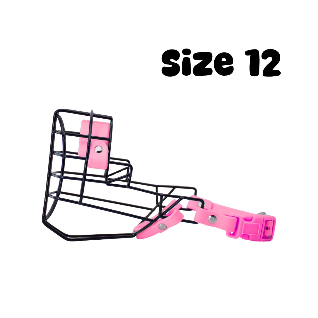 40.png