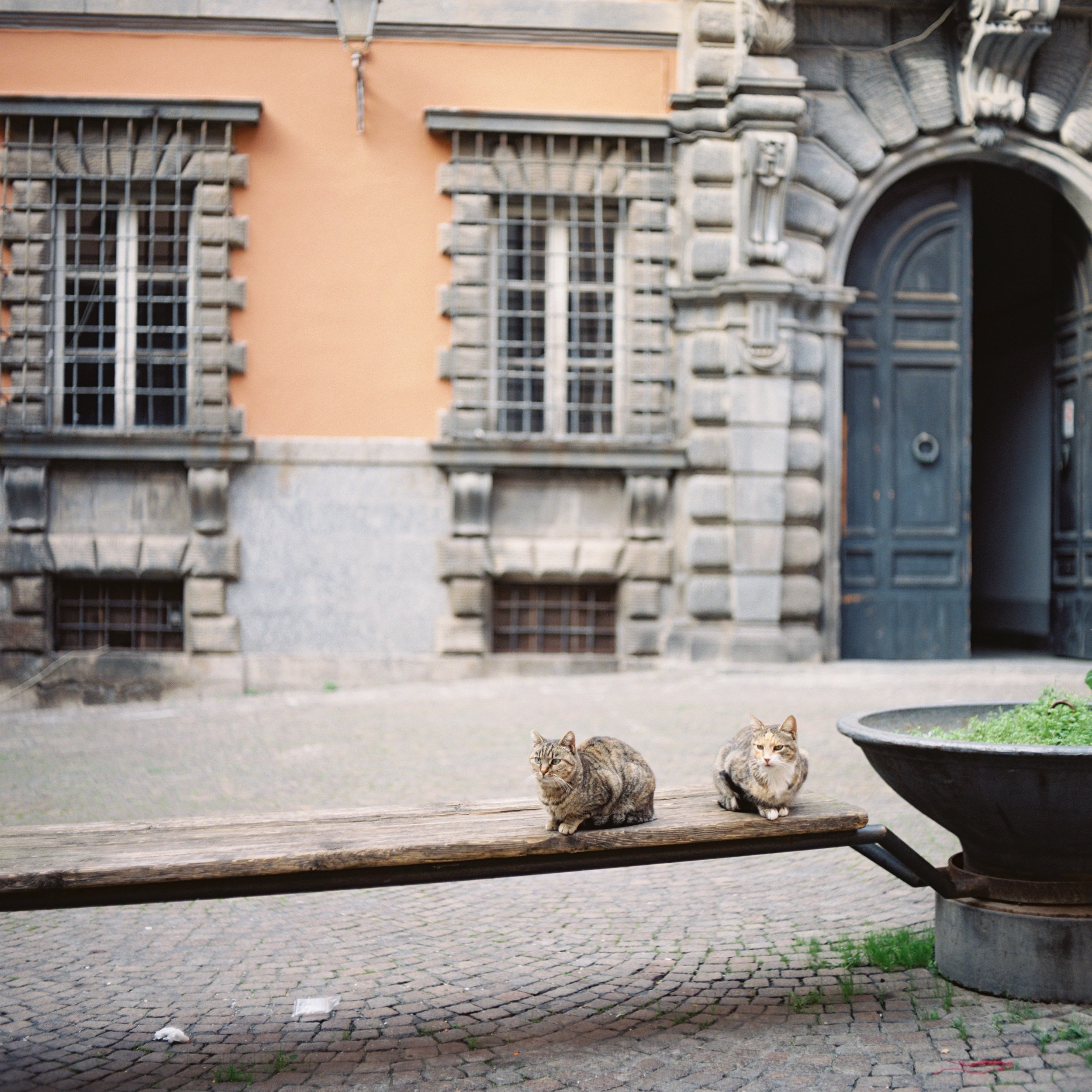 Italy Couples-14.jpg