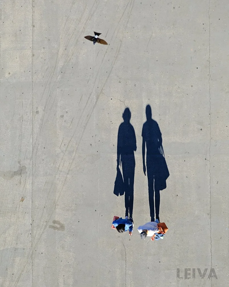 LEIVA_Sombras_Love Birds_16x20_$375.jpg