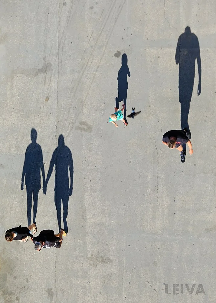 LEIVA_Sombras_Birds Eye View_20x28_$600.jpg