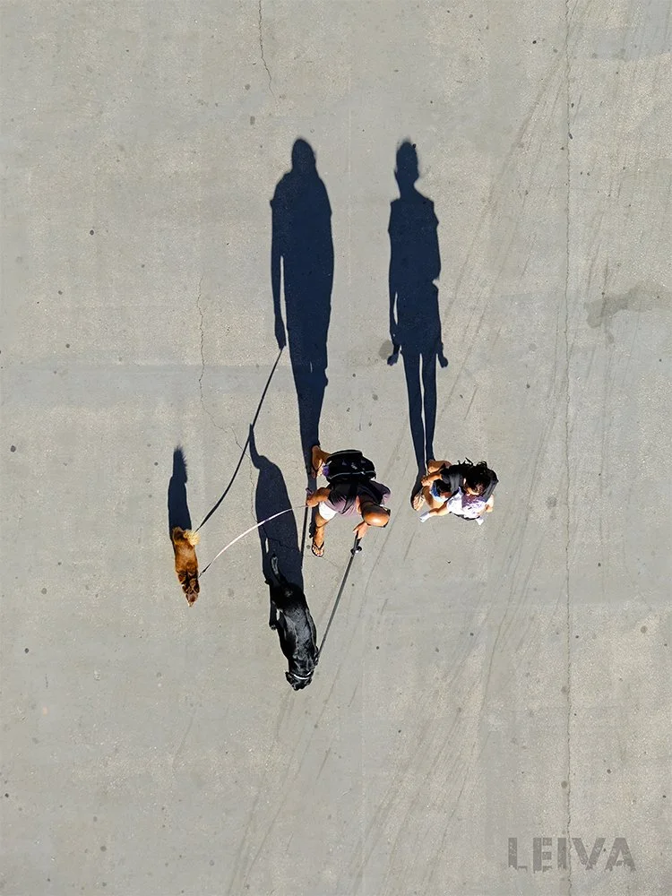 LEIVA_Sombras_Dog Days of Summer_12x16_$250.jpg