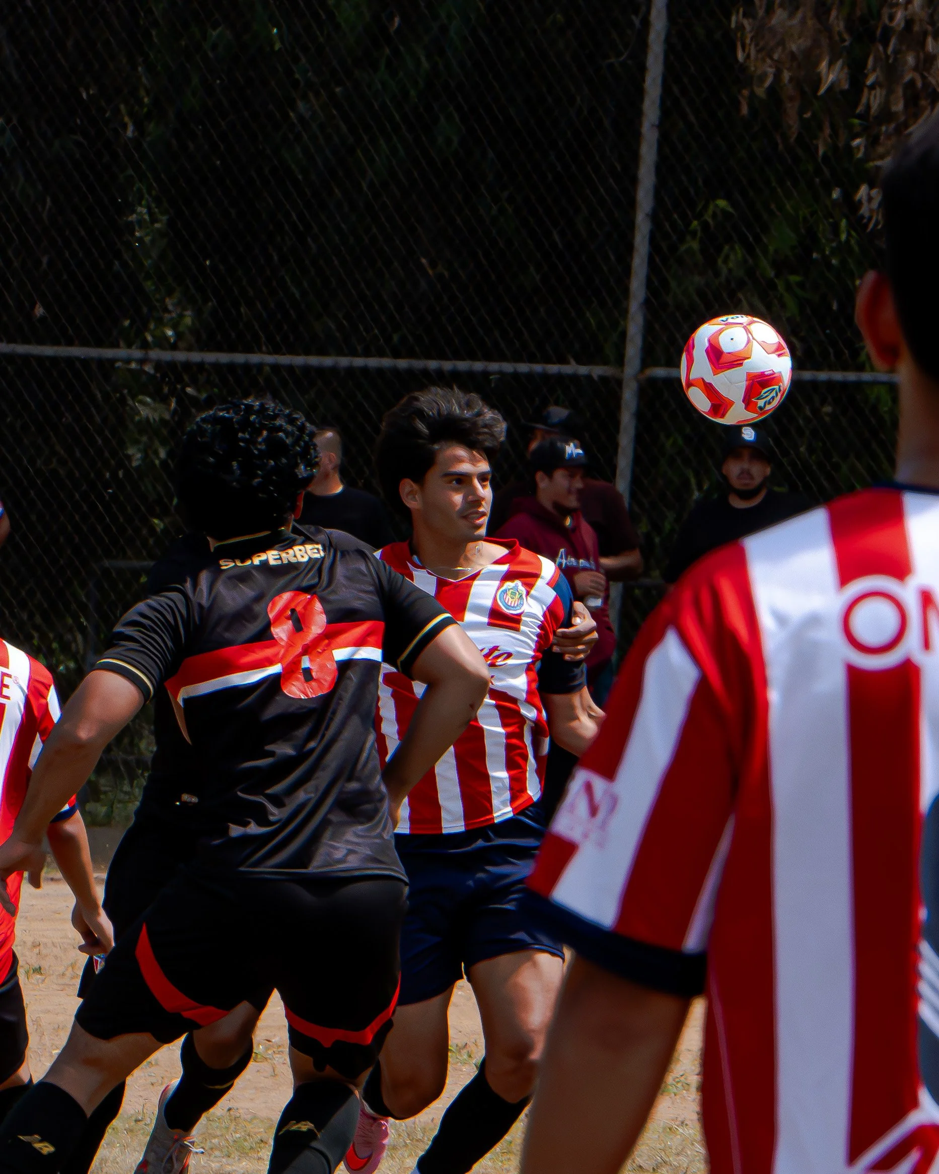 DSC08833.jpg