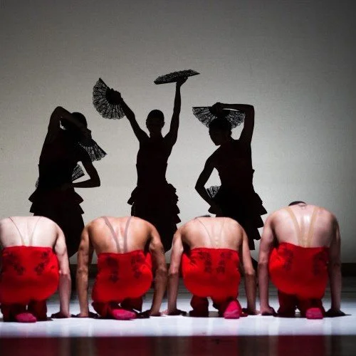 Ballet Hispánico - Lighting Director