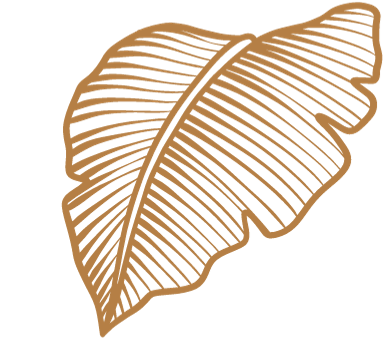 Pools & Daybeds | V Palm Springs — V Palm Springs