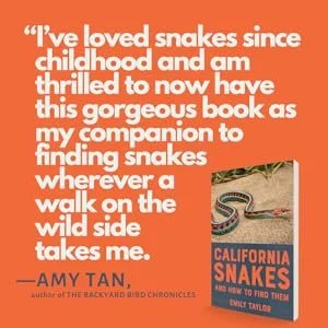 snakes blurb.jpg