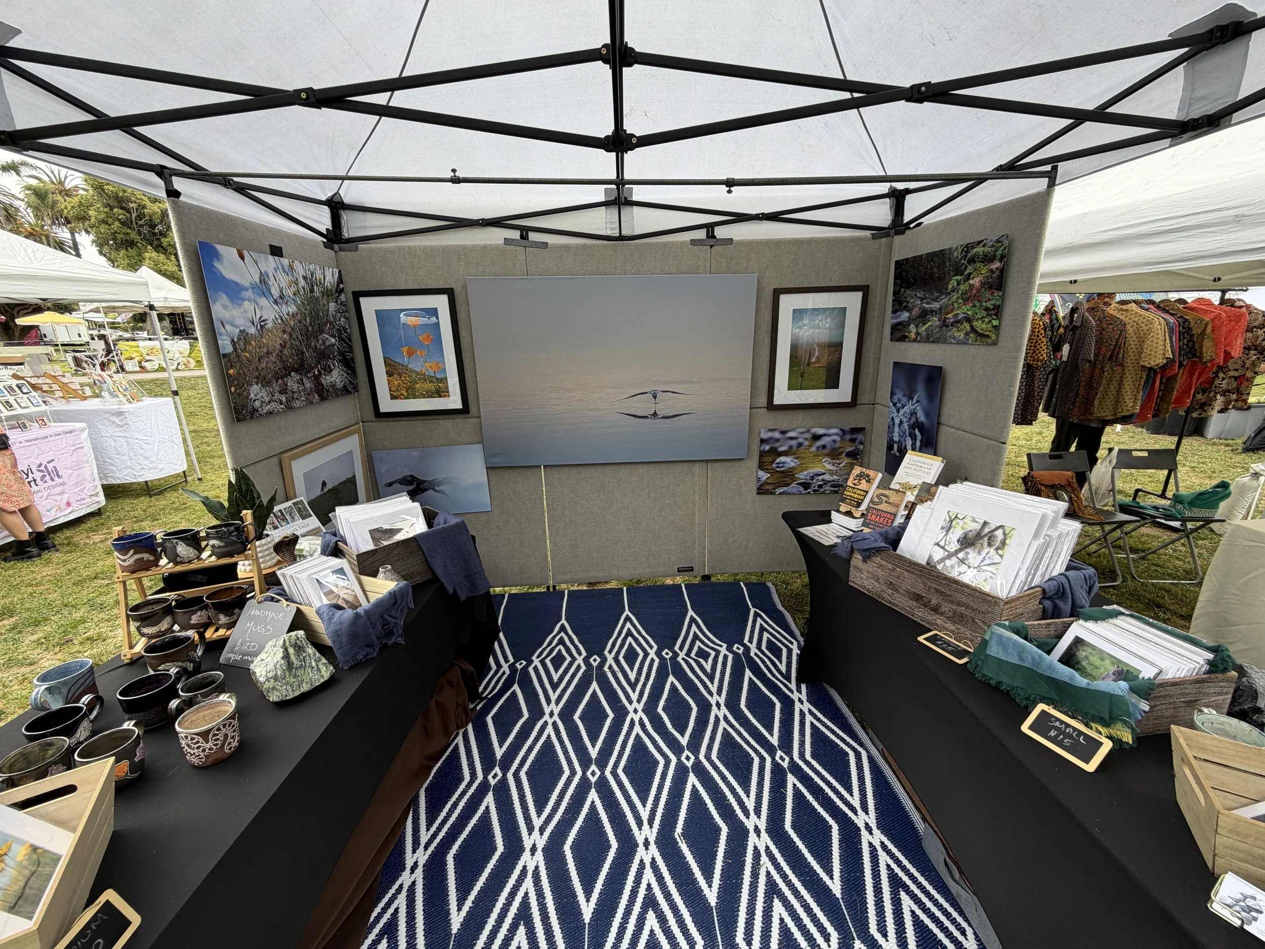 Market Set Up