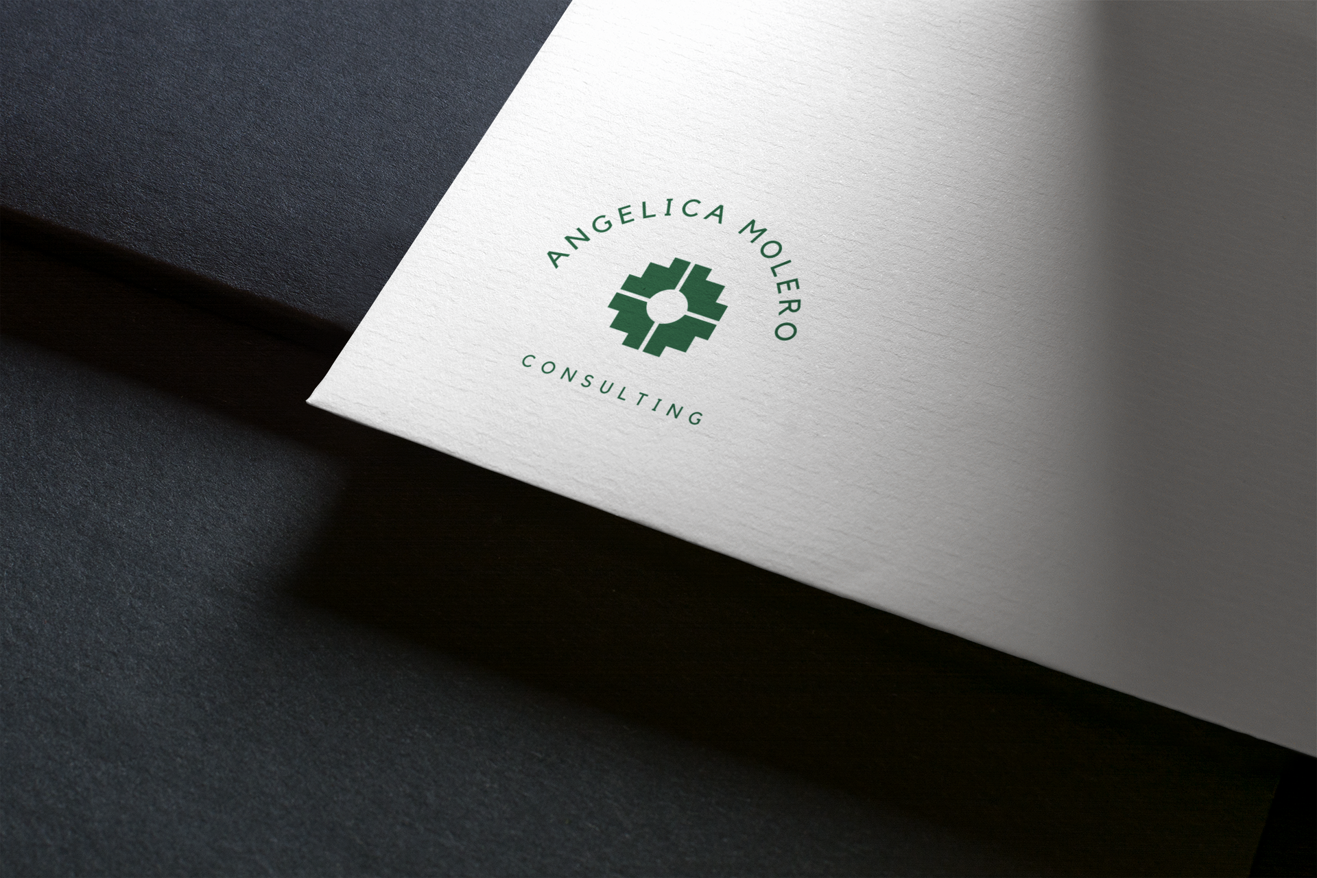 logo-mockup-featuring-the-close-up-to-a-business-card-1661-el.png
