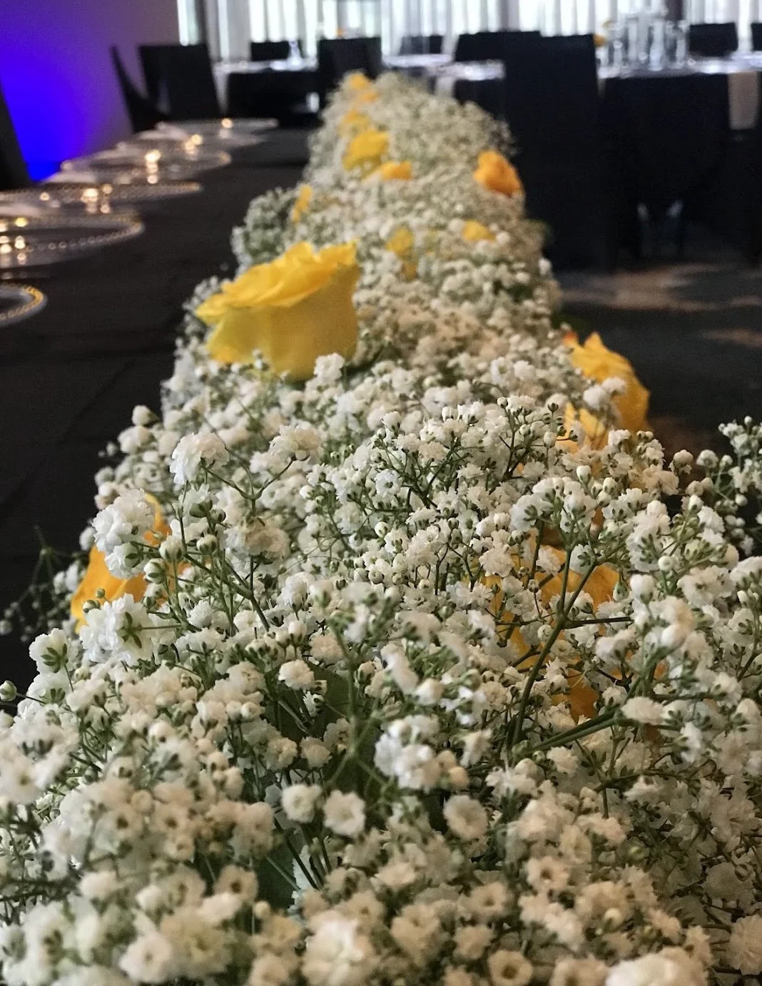 Image 1-17-26 at 6.11 PM.jpeg