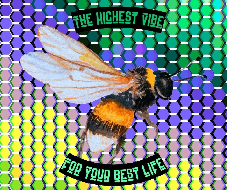 Live in the HYVE 
