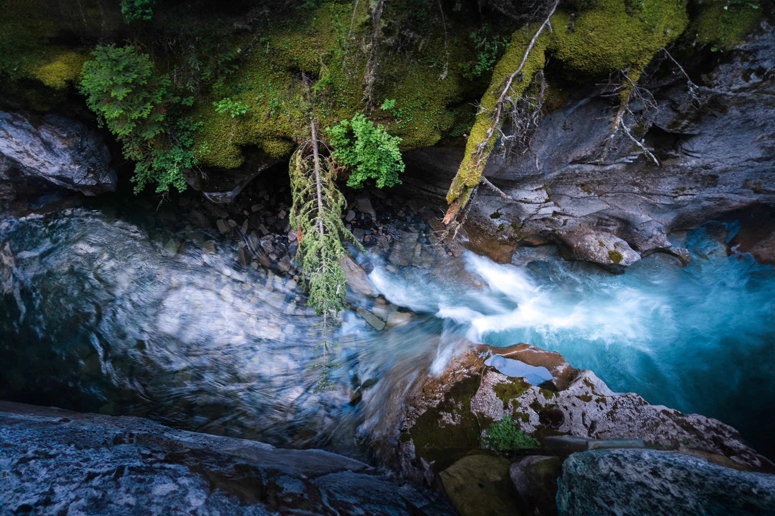 DSC06009-Edit 2.jpeg