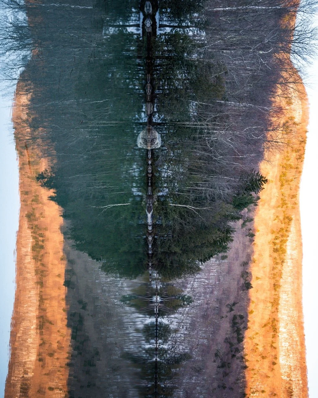 DSC00988-Enhanced-SR Large.jpeg