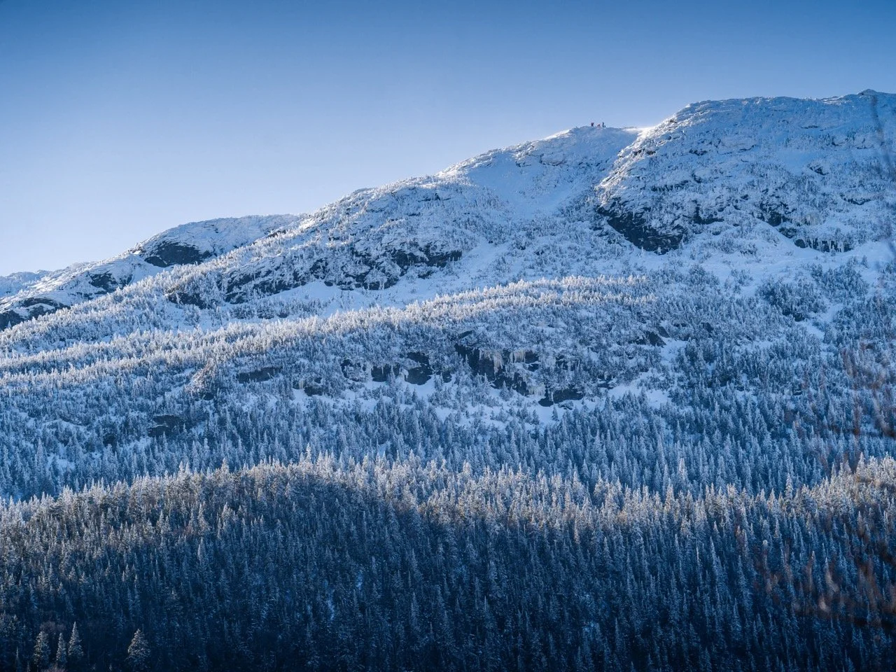 DSC00858-Enhanced-SR-2 Large.jpeg