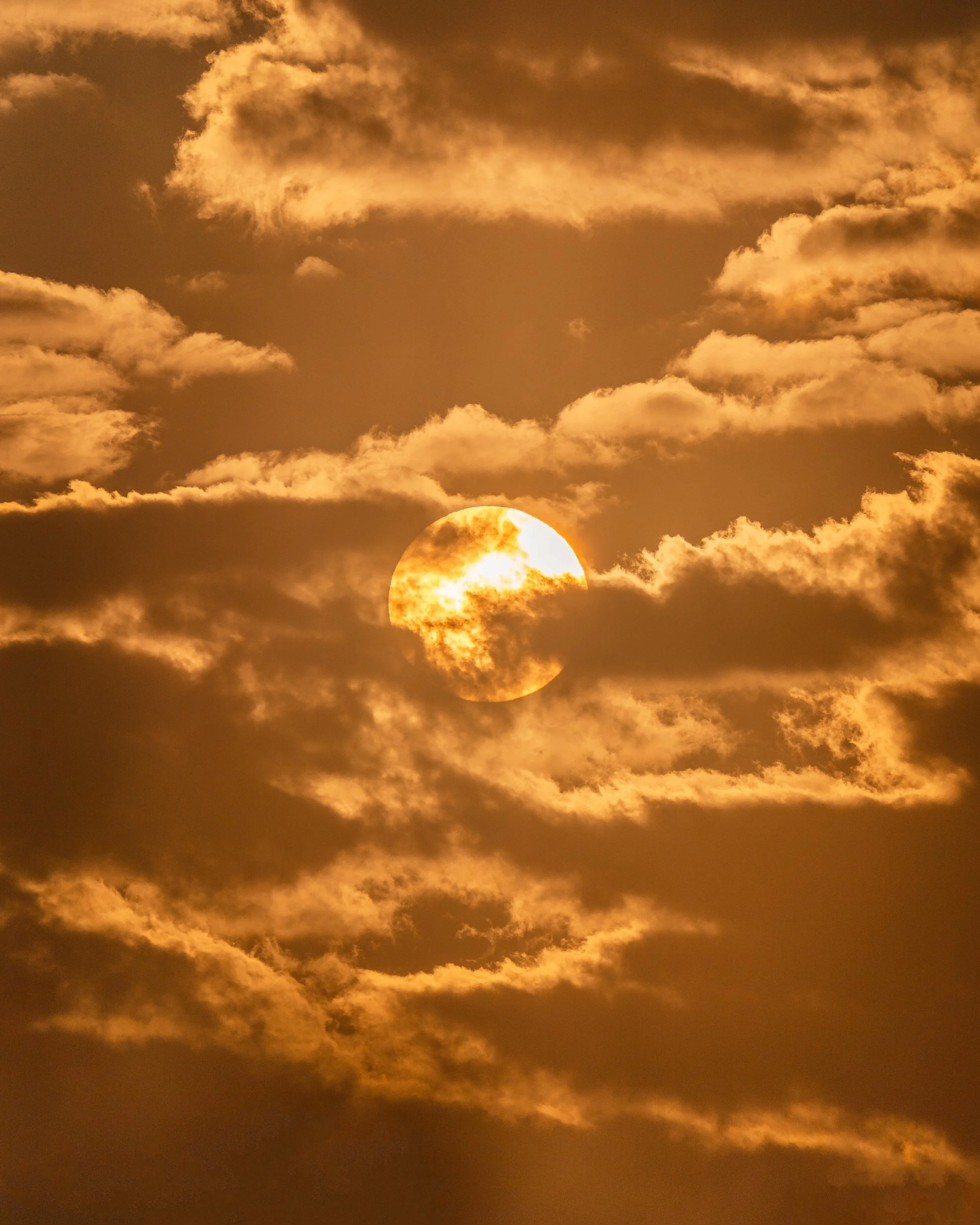 DSC00363-Edit-Edit-Edit 2.jpeg