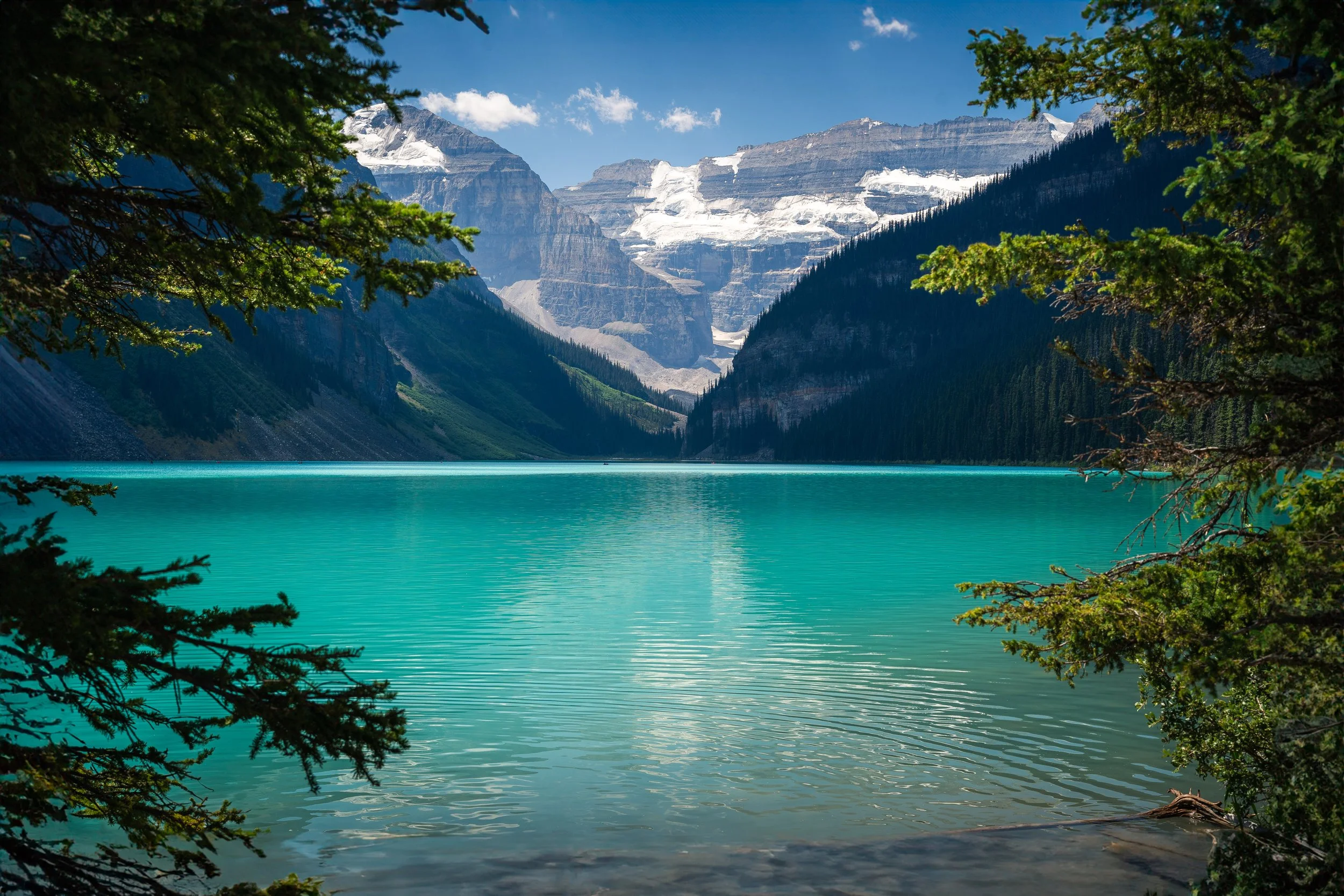 DSC06328-Edit 2.jpeg