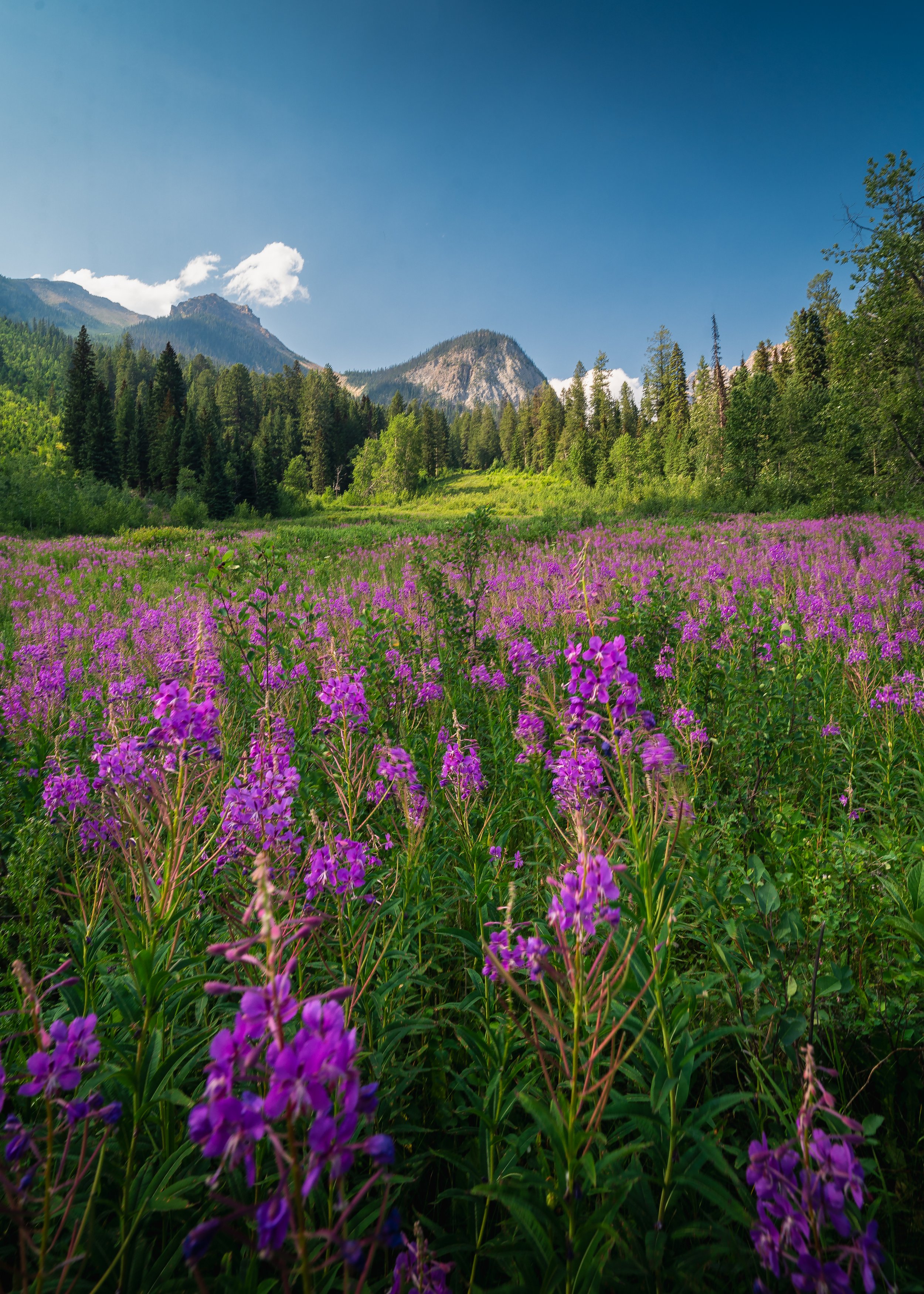 DSC06210-Edit.jpg