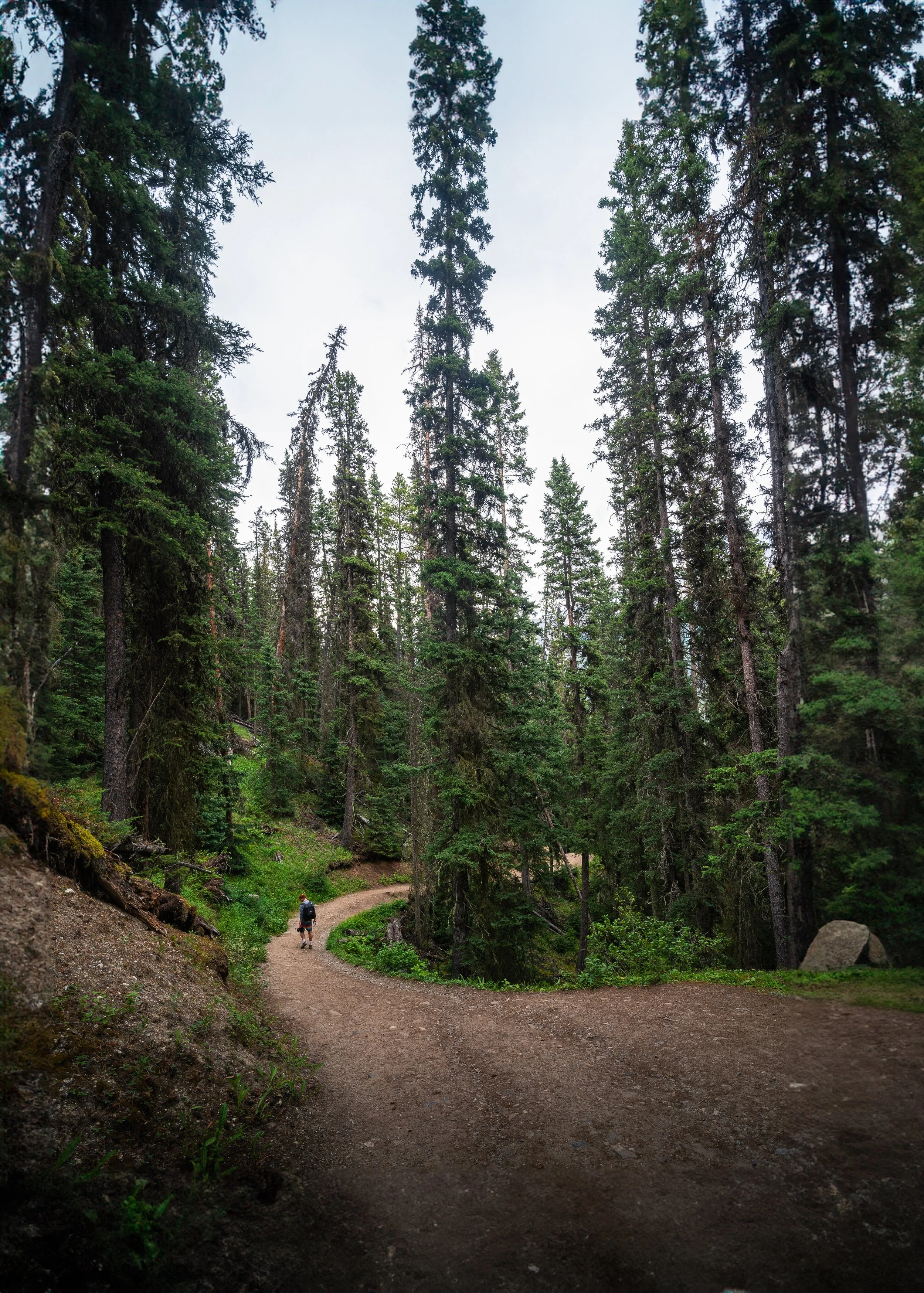 DSC05721-Edit-2 2.jpeg