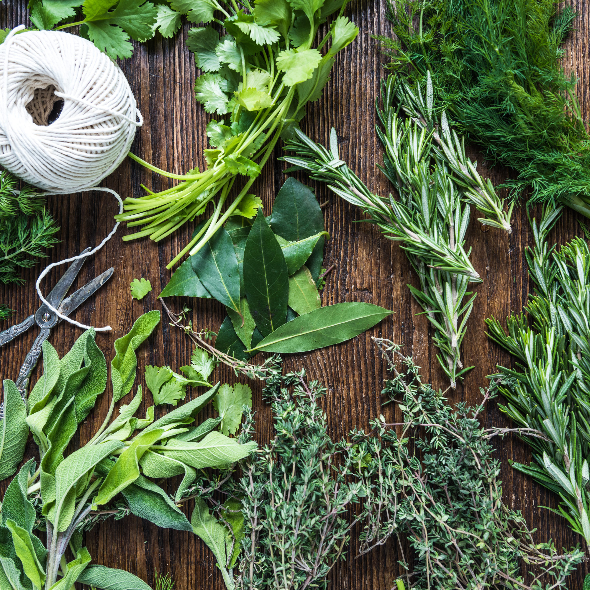Sage, parsley, dill and other herbs on a table.