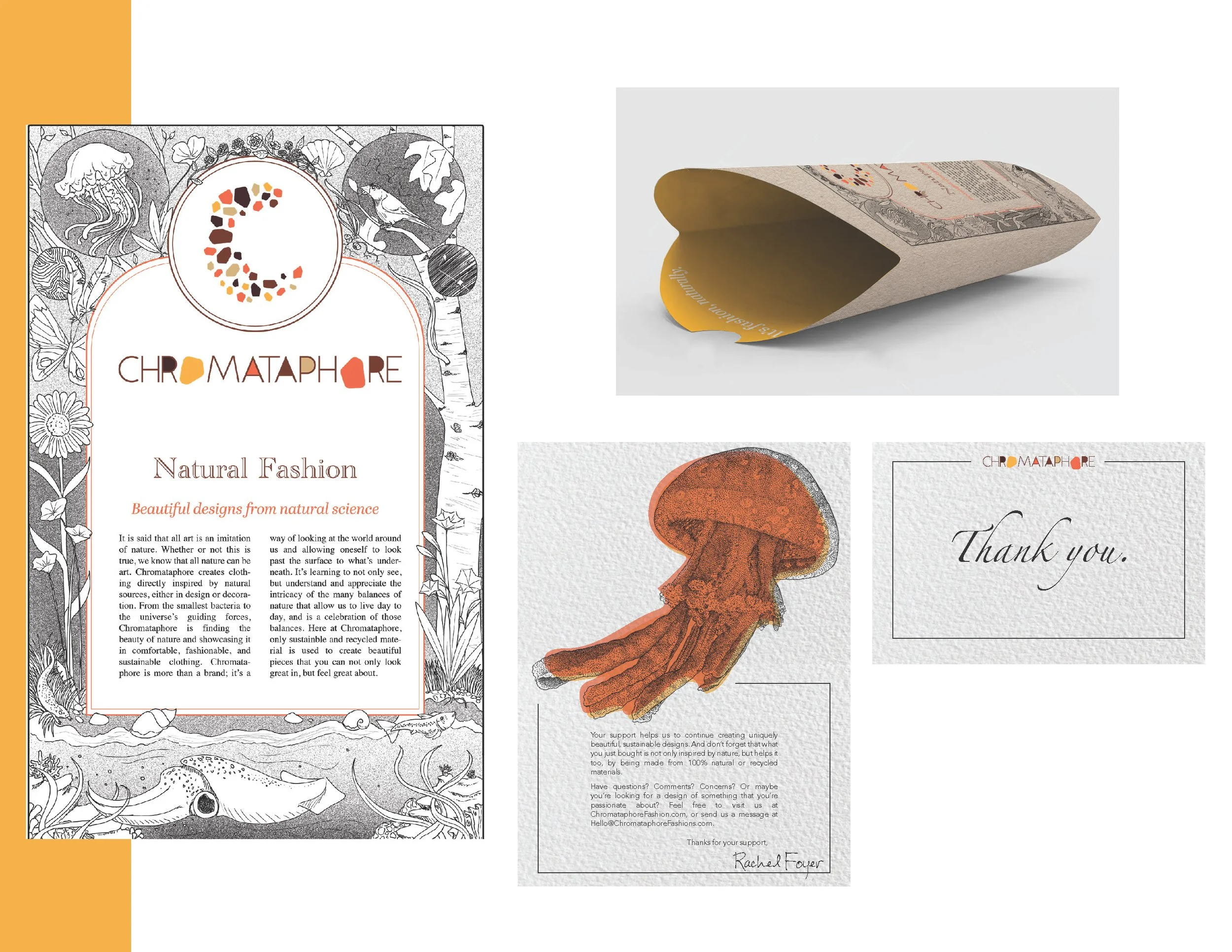 Chromataphore presentation_Page_13.jpg