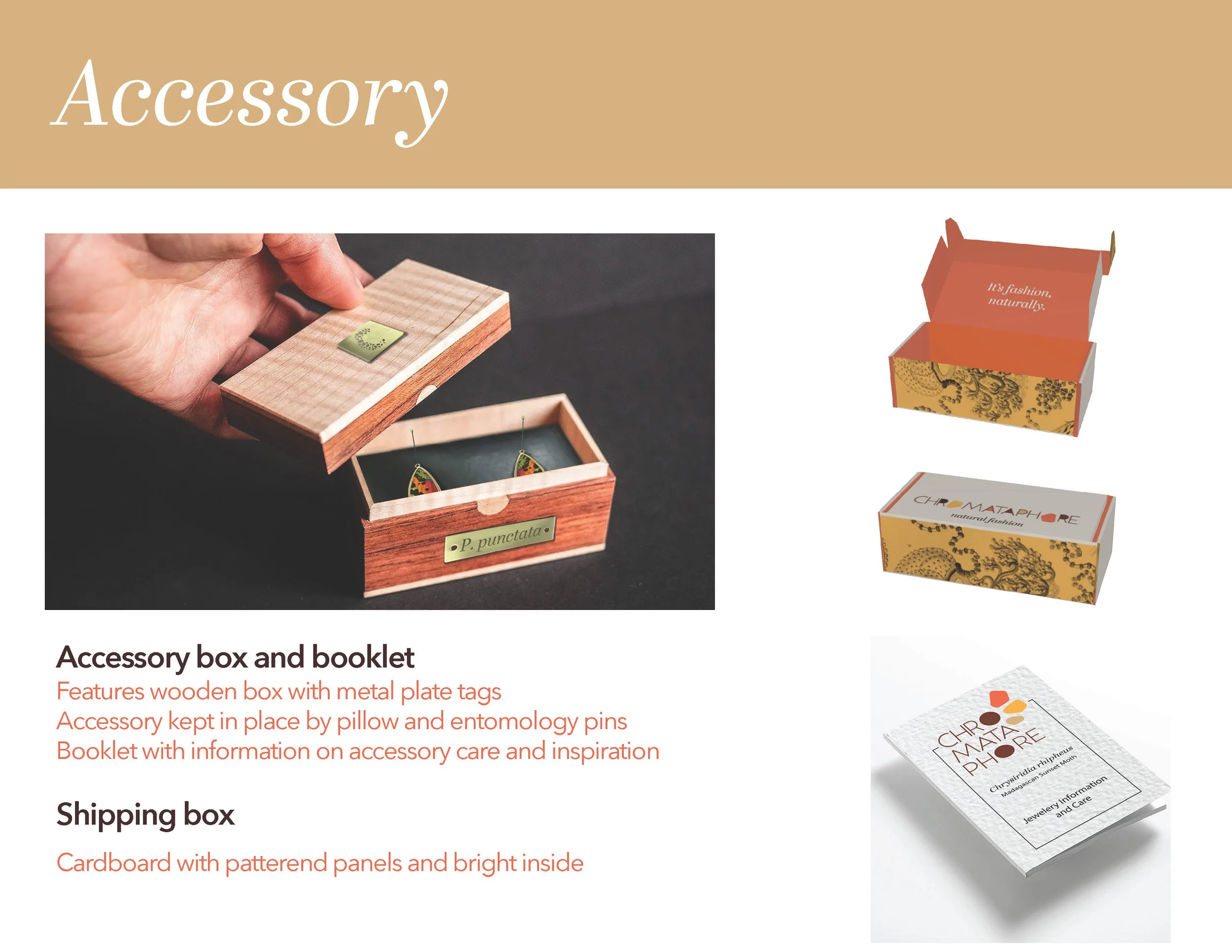 Chromataphore presentation_Page_10.jpg