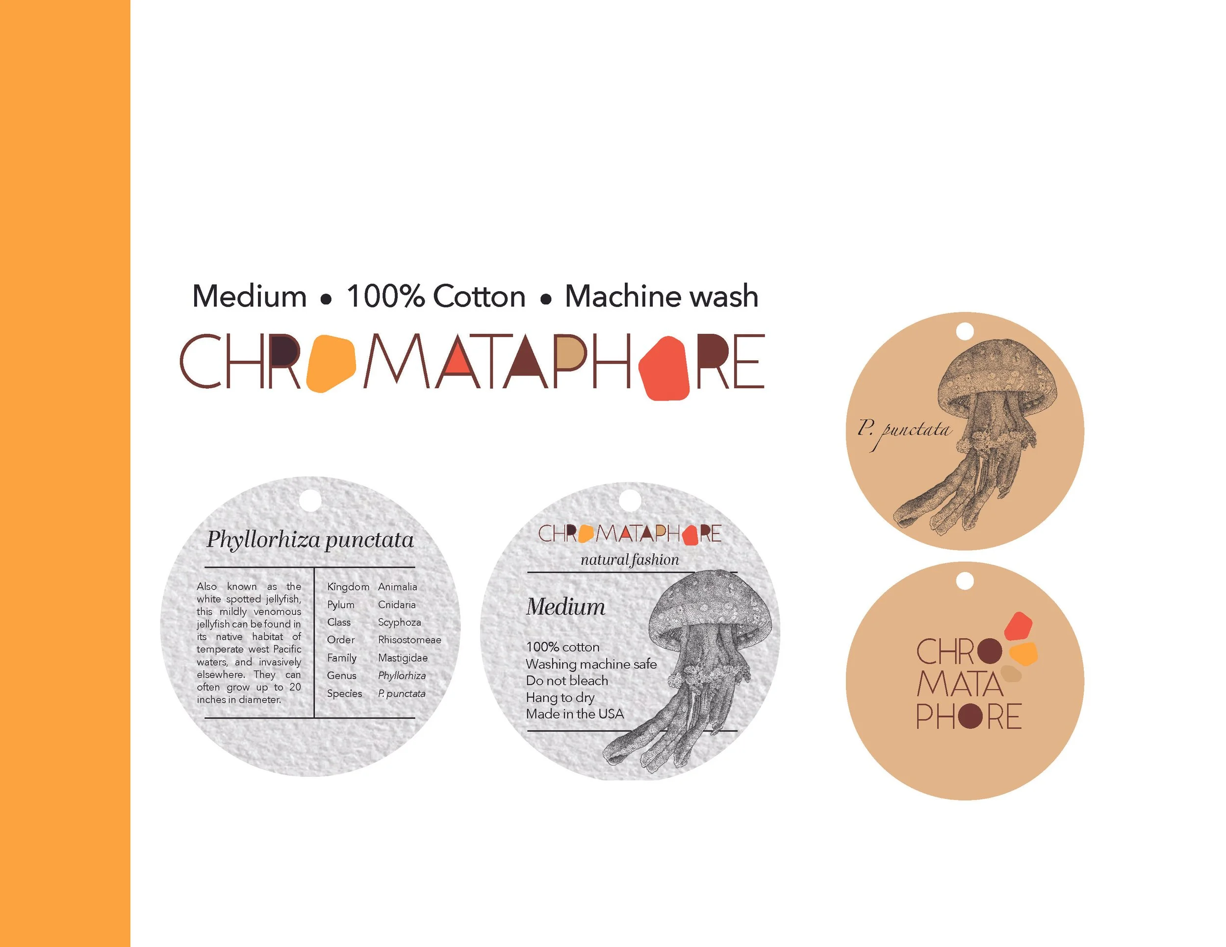 Chromataphore presentation_Page_09.jpg