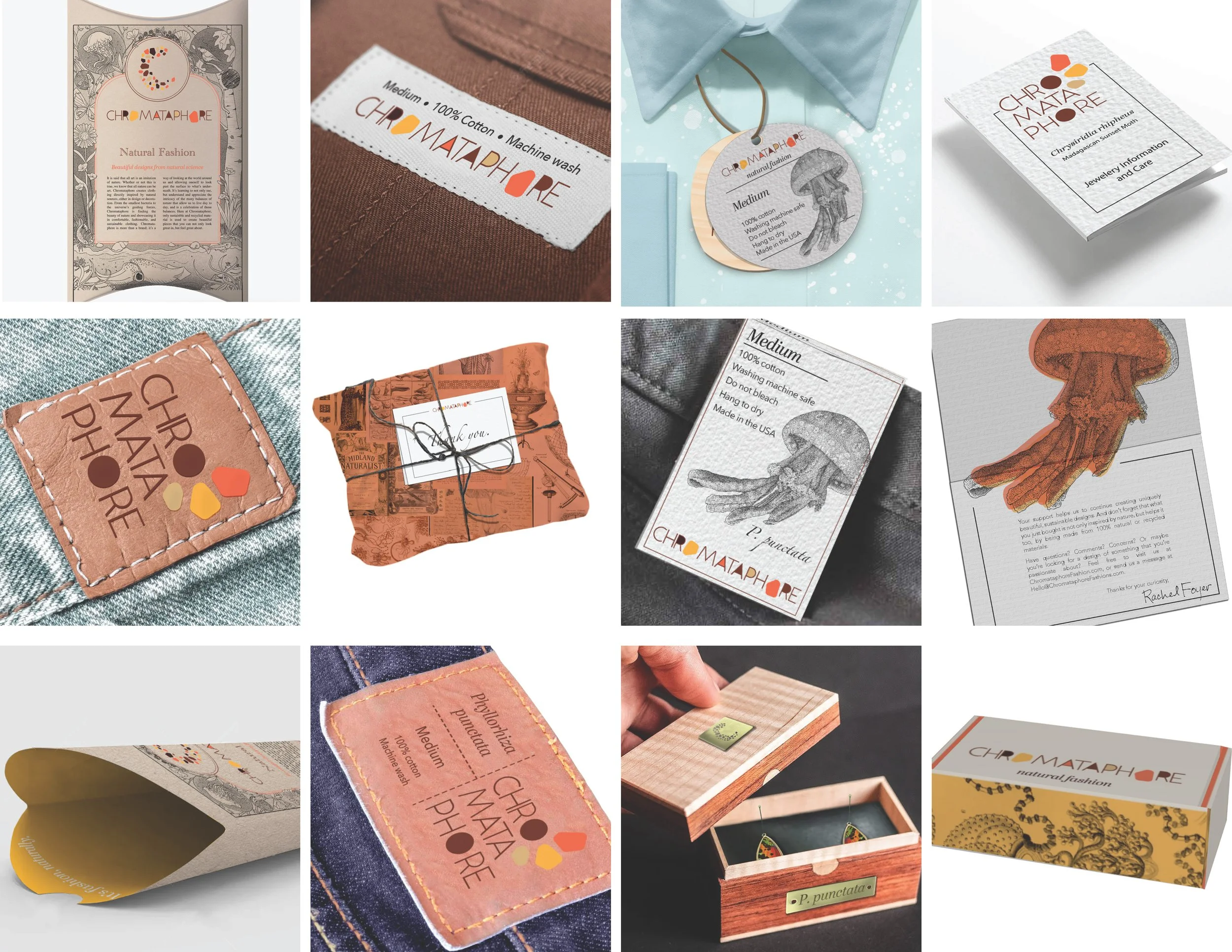 Chromataphore presentation_Page_04.jpg