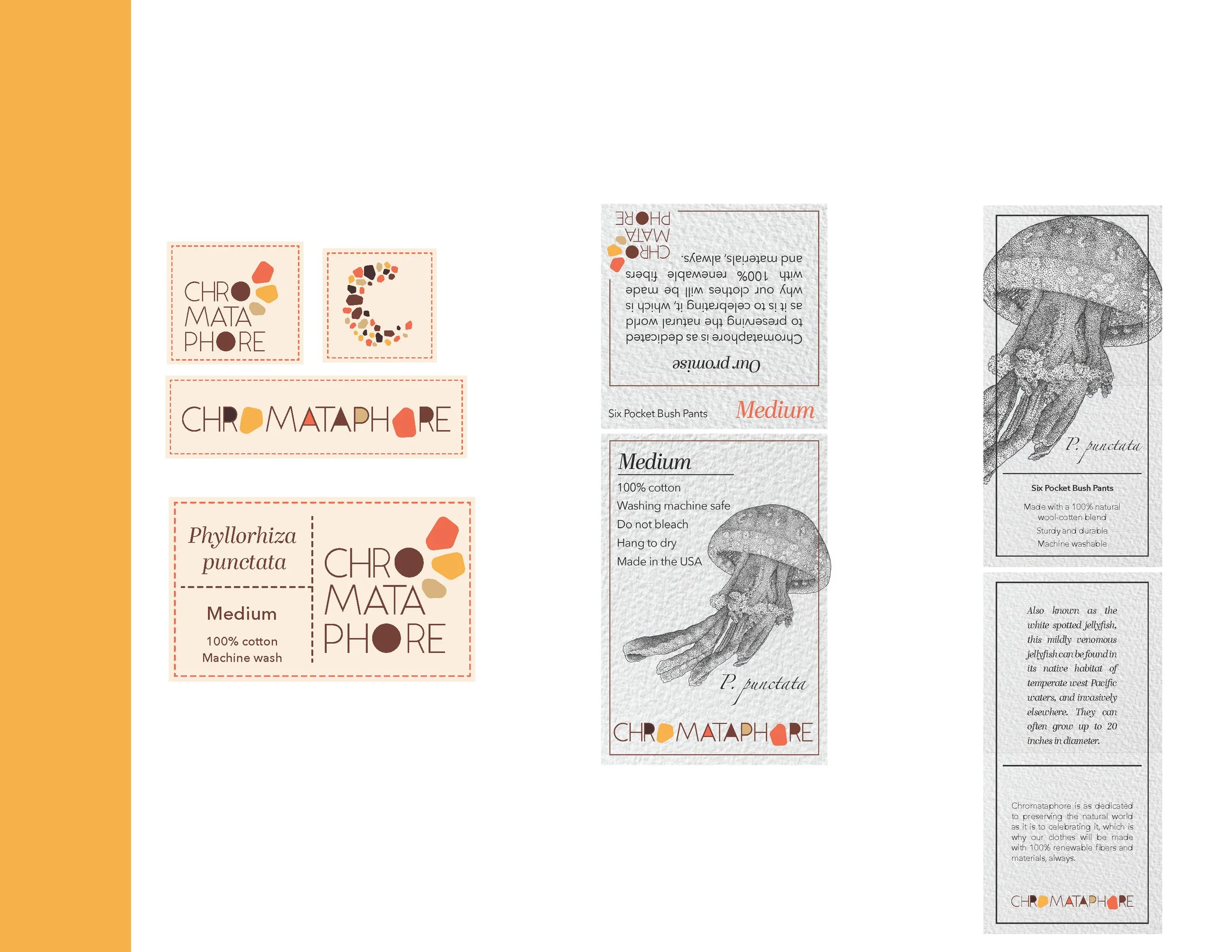 Chromataphore presentation_Page_07.jpg