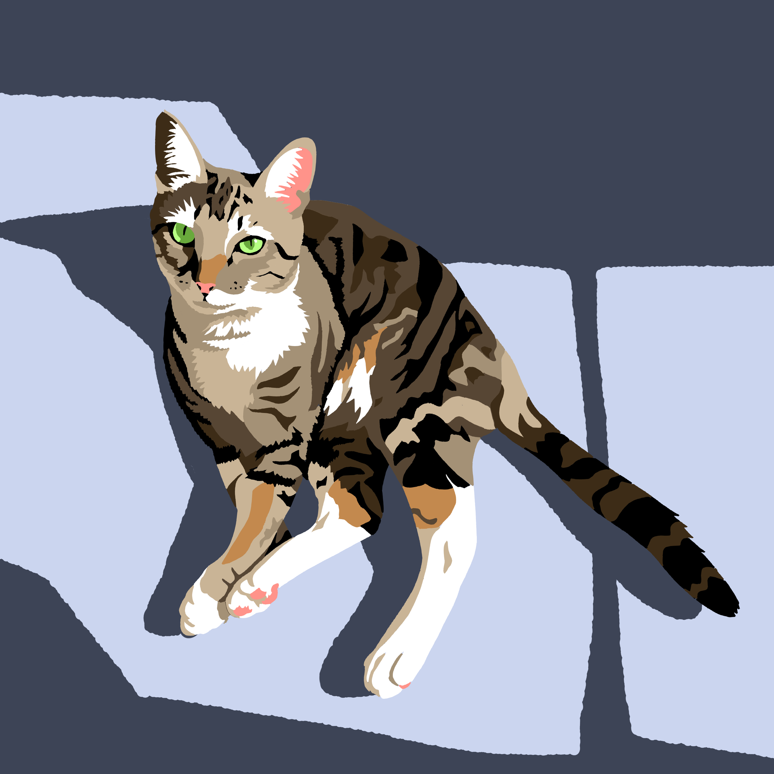 A little simple drawing of my favorite cat in the world (don't tell the other cats).