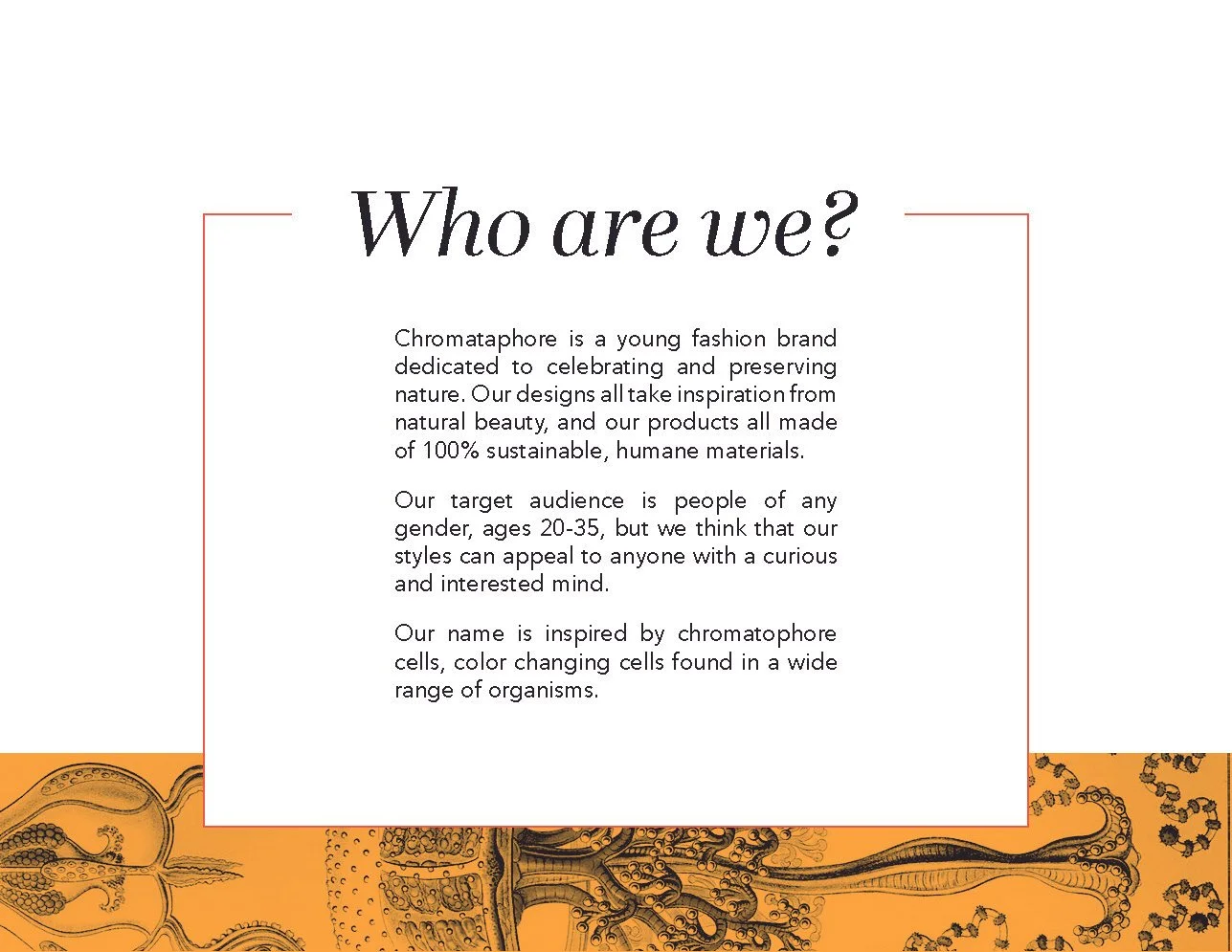 Chromataphore presentation_Page_02.jpg