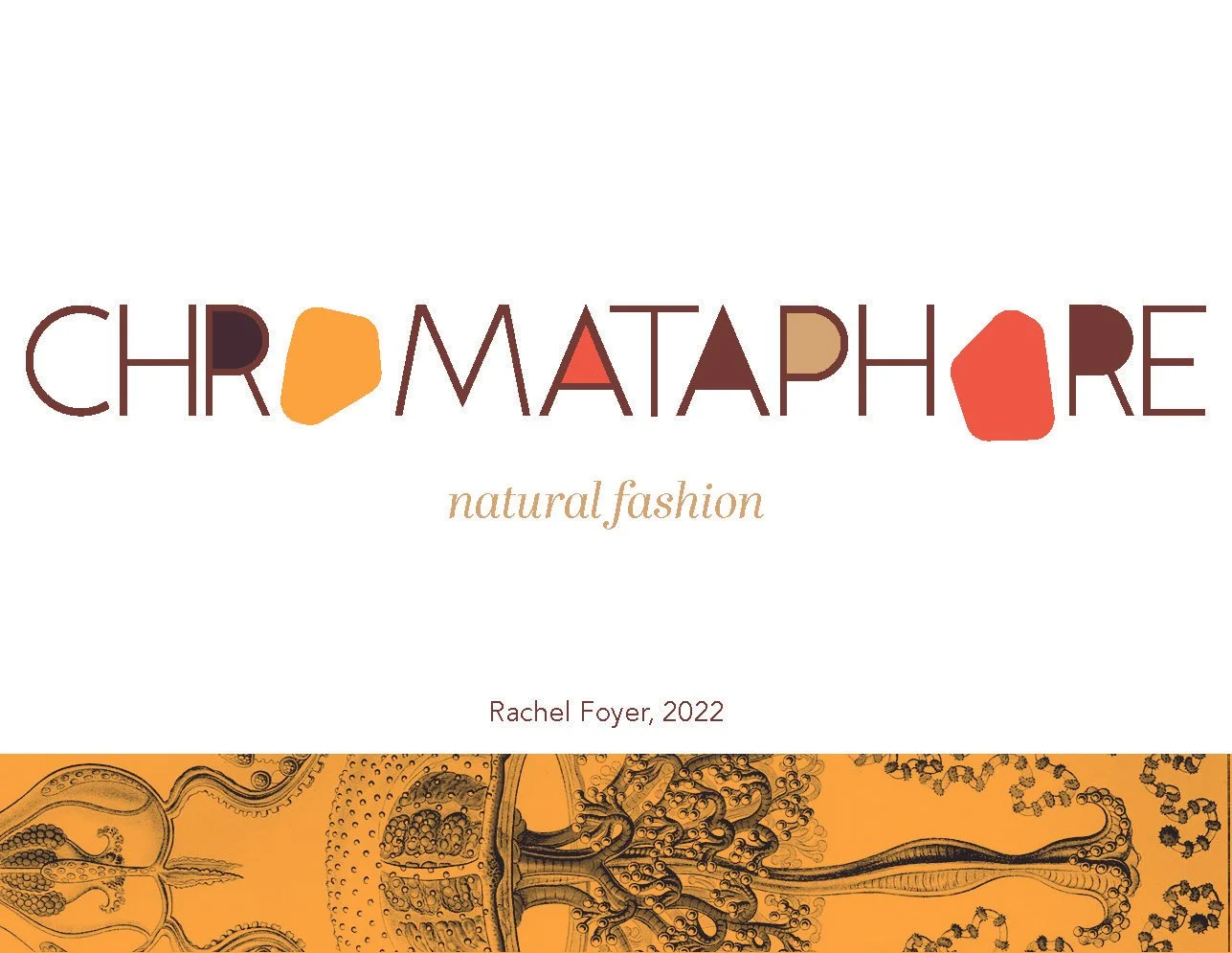 Chromataphore presentation_Page_01.jpg