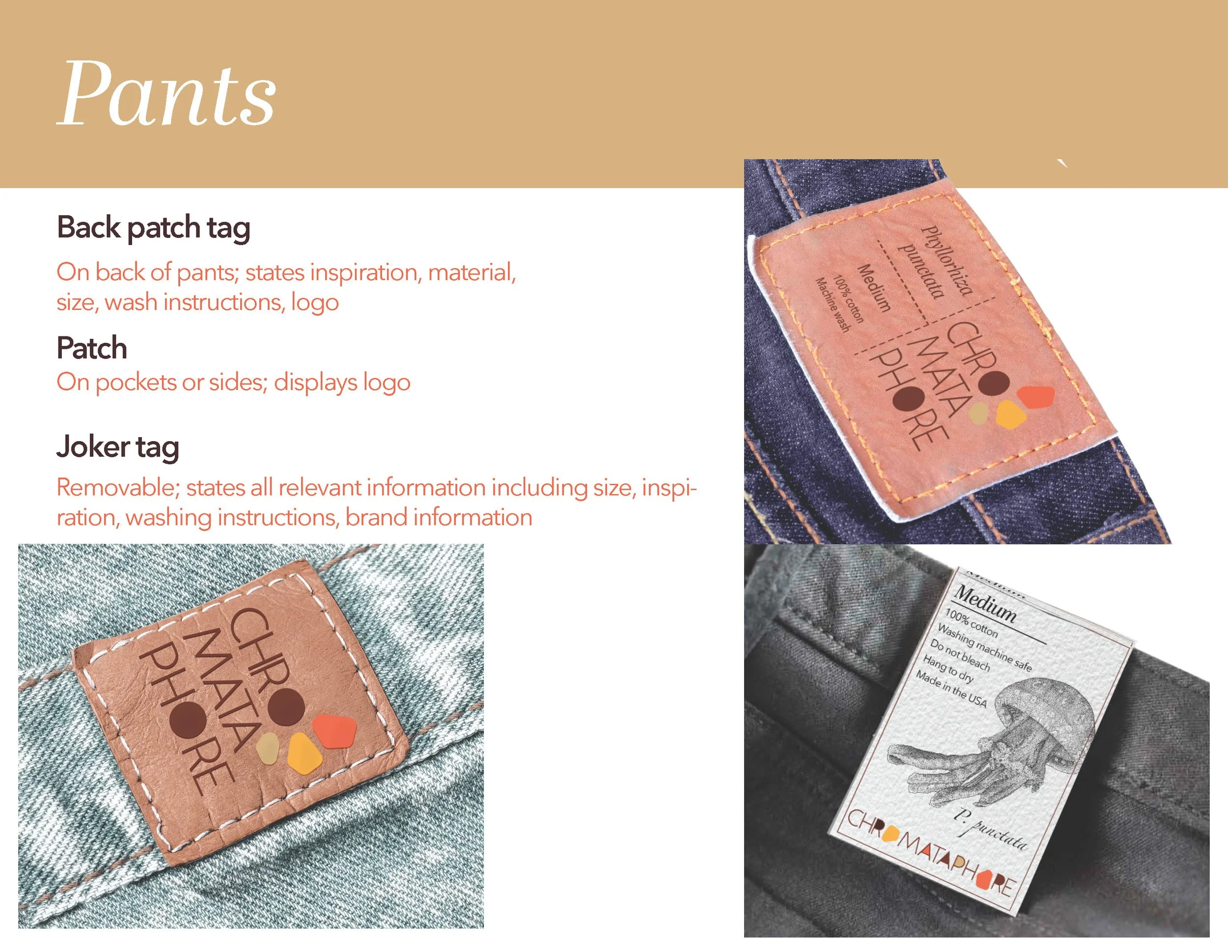 Chromataphore presentation_Page_06.jpg