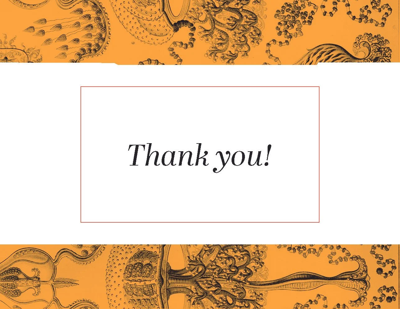 Chromataphore presentation_Page_14.jpg