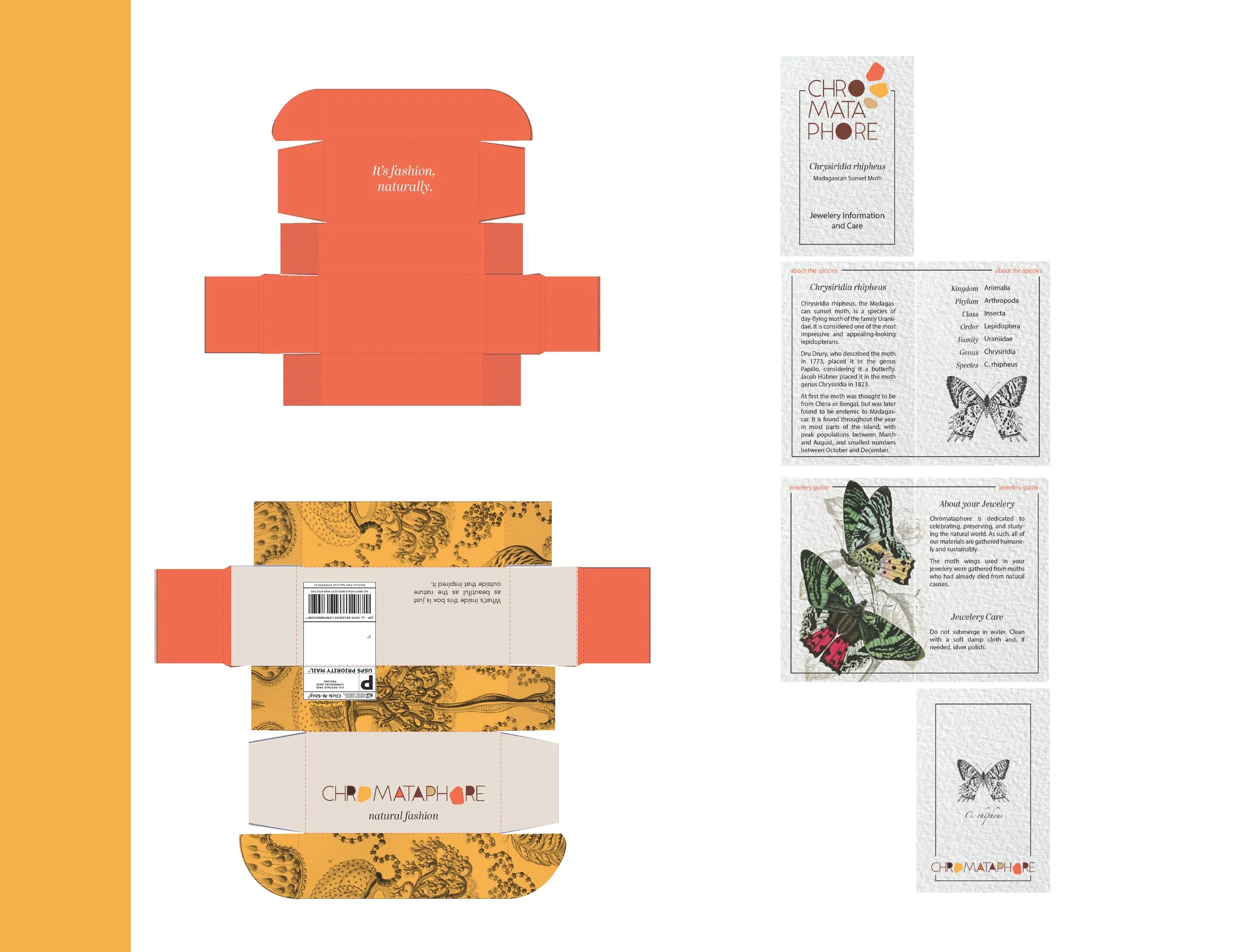 Chromataphore presentation_Page_11.jpg