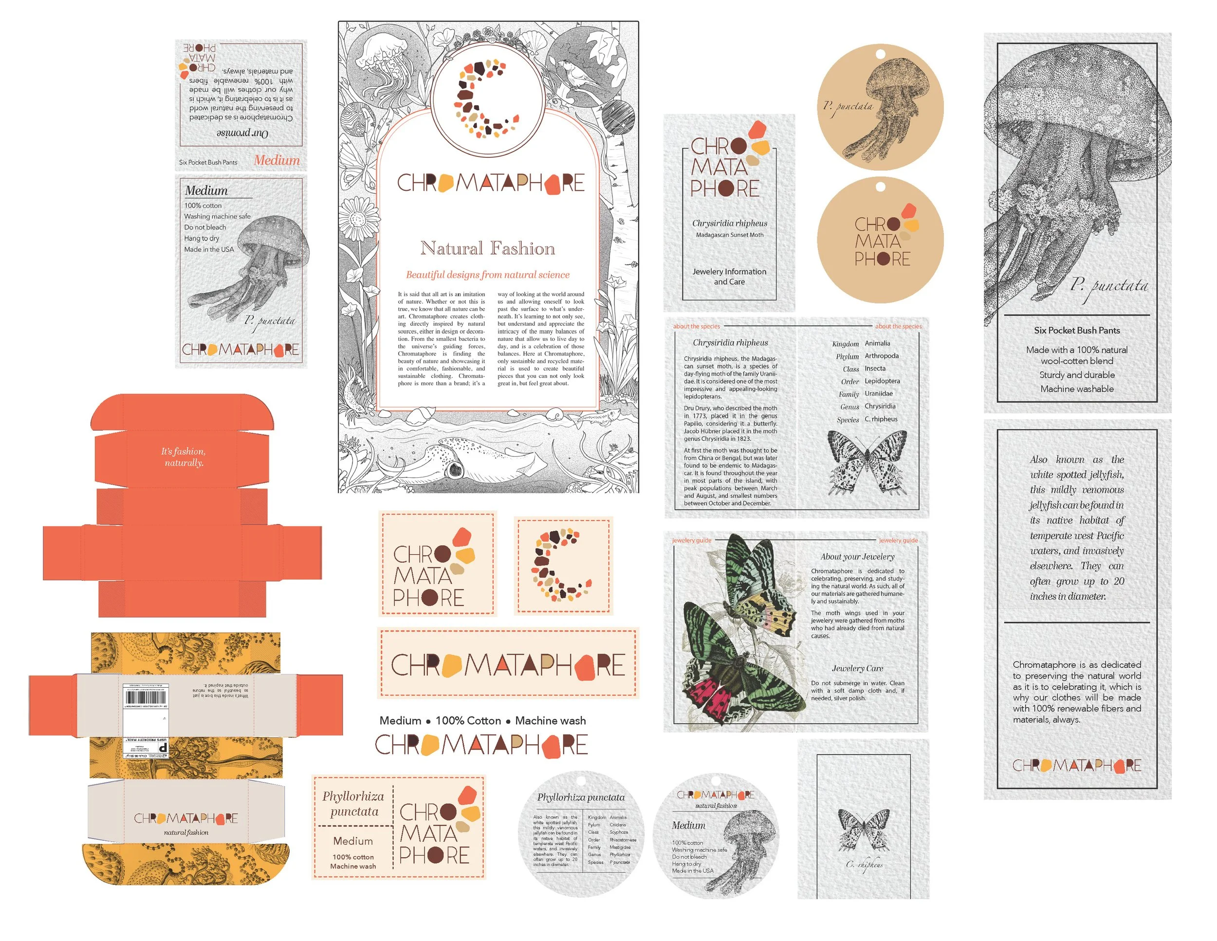 Chromataphore presentation_Page_05.jpg